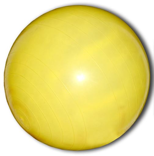 TRTT Physiogymnastikball